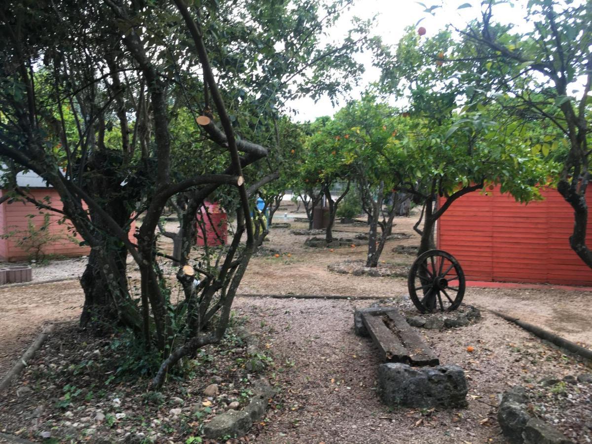 Quinta do Lagar de São José Hostal Paialvo Exterior foto